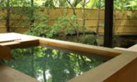 61海石榴-つばき-
