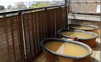 7びわ湖長浜